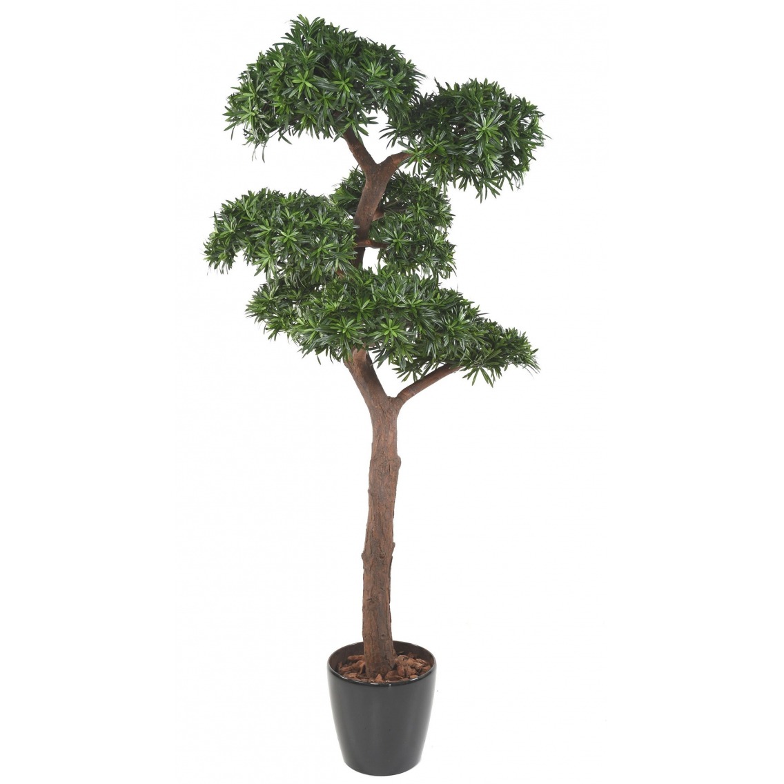 Podocarpus artificiel géant