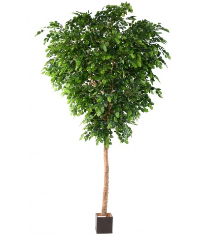 Grand hêtre artificiel vert