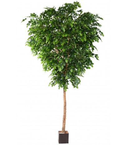 Grand hêtre artificiel vert