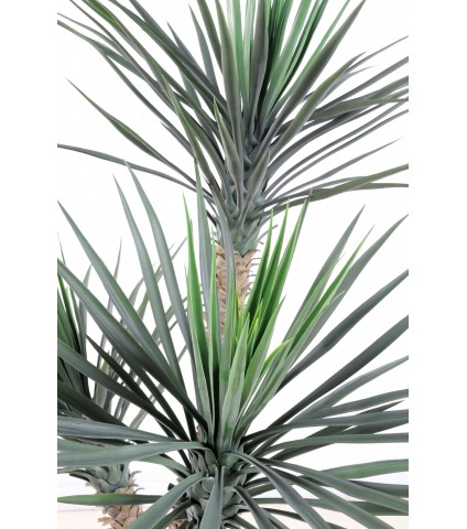 Yucca rostré artificiel