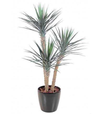 Yucca rostré artificiel
