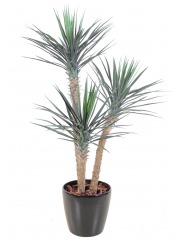 Yucca rostré artificiel