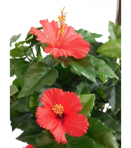 Arbuste artificiel hibiscus rouge