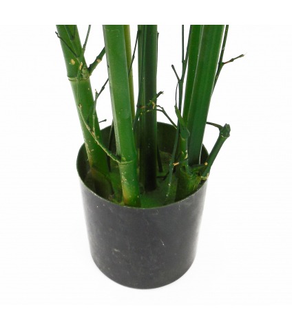 Bambou vert multi-cannes