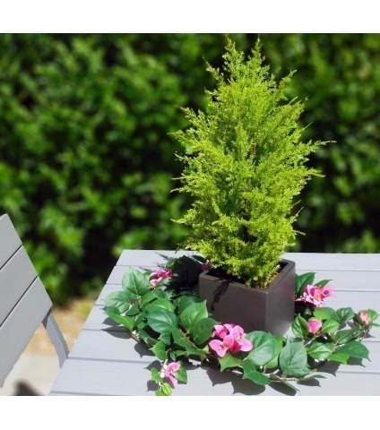 Juniperus artificiel