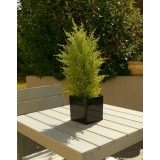 Juniperus artificiel