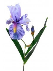 Iris versicolor artificiel