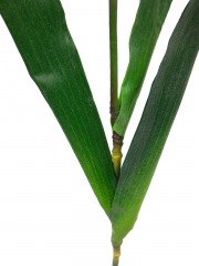 Iris versicolor artificiel