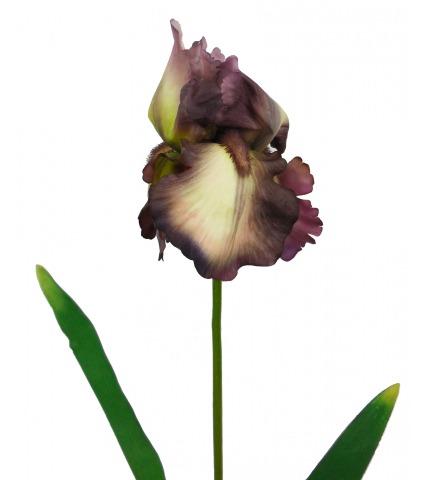 Fleur iris artificiellle