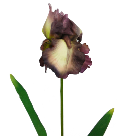 Fleur iris artificiellle