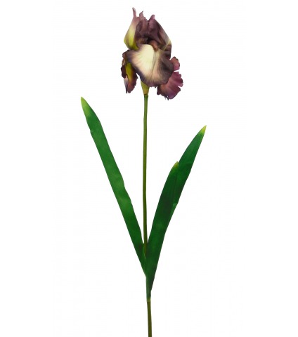 Fleur iris artificiellle