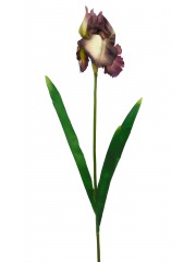 Fleur iris artificiellle