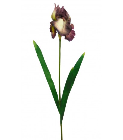Fleur iris artificiellle