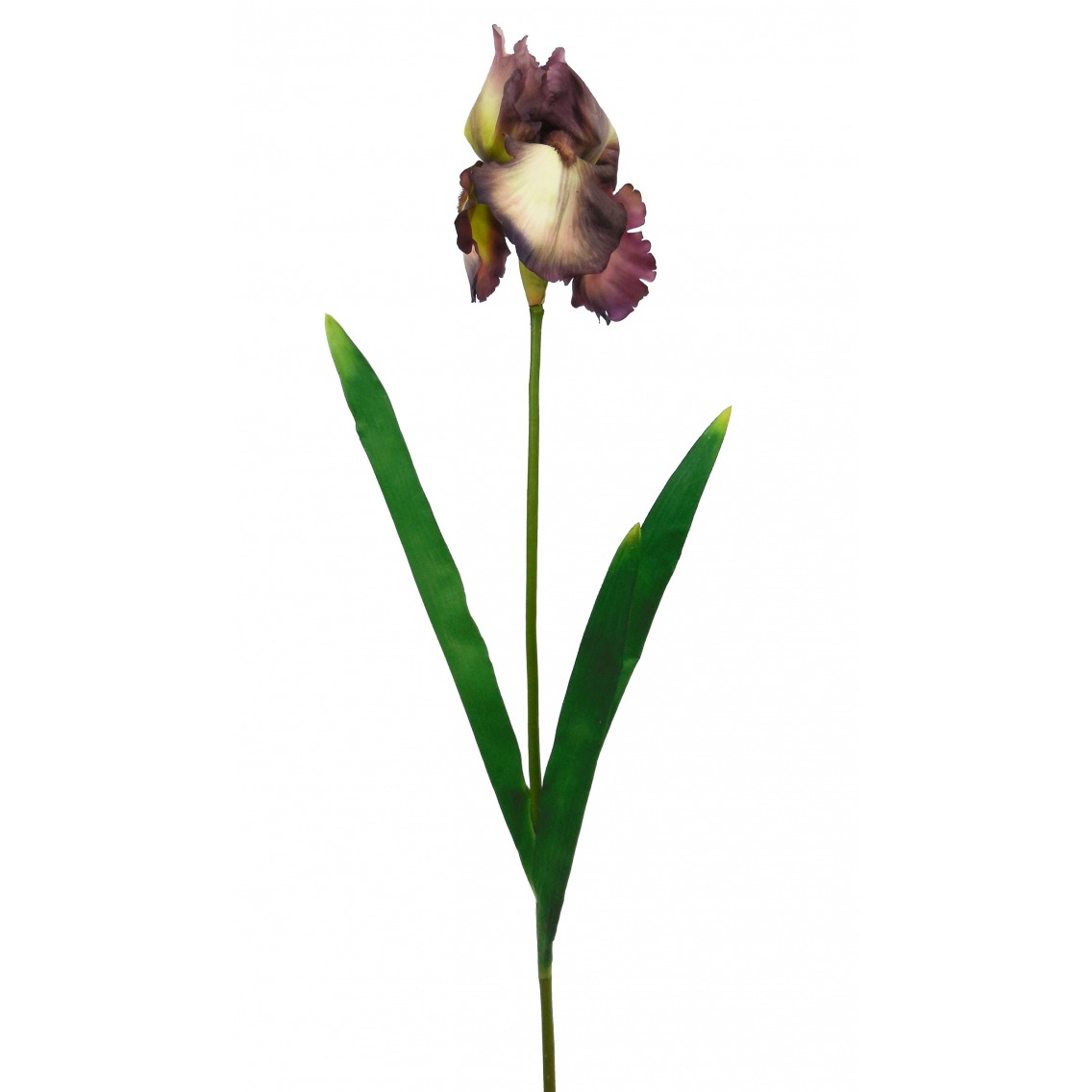 Fleur iris artificiellle