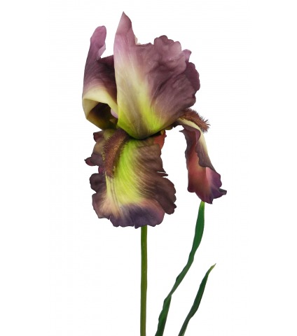 Fleur iris artificiellle