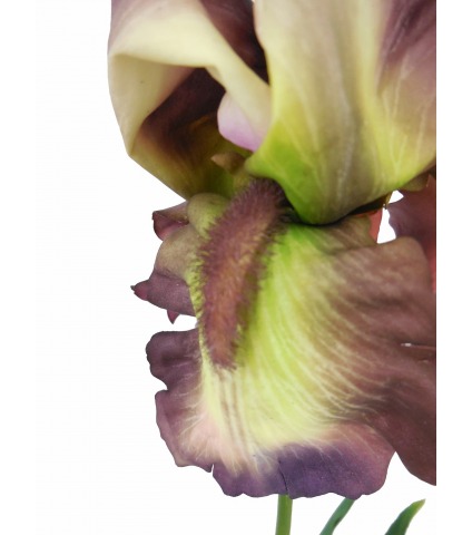 Fleur iris artificiellle