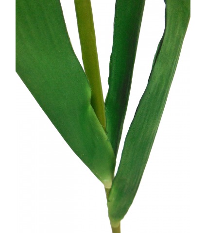 Fleur iris artificiellle