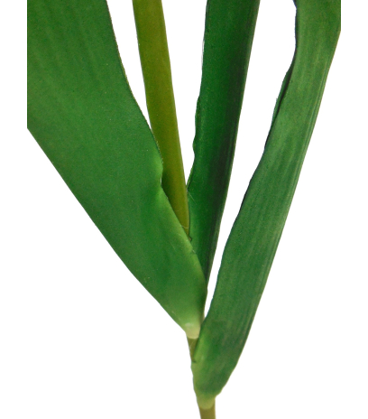 Fleur iris artificiellle