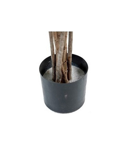 Pot