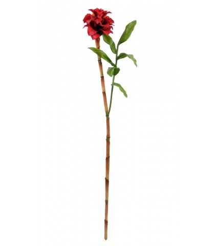 Branche de gingembre artificiel