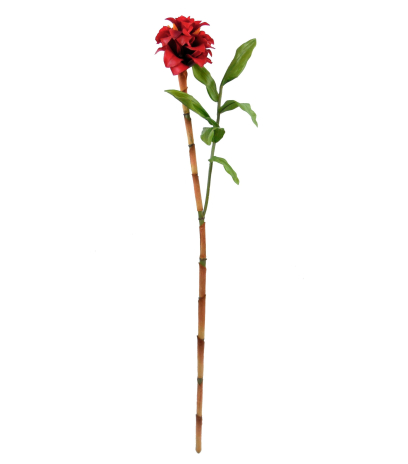 Branche de gingembre artificiel