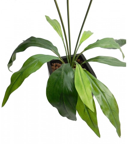 Arum maculatum artificiel