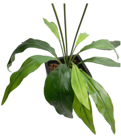 Arum maculatum artificiel