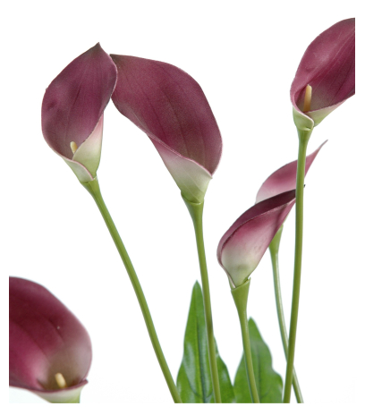 Arum maculatum artificiel