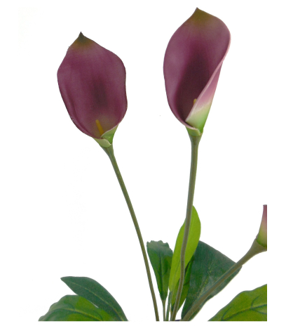 Arum maculatum artificiel