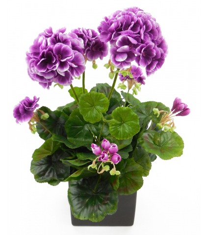 Géranium artificiel violet