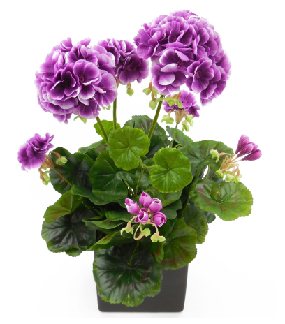 Géranium artificiel violet