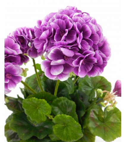 Géranium artificiel violet