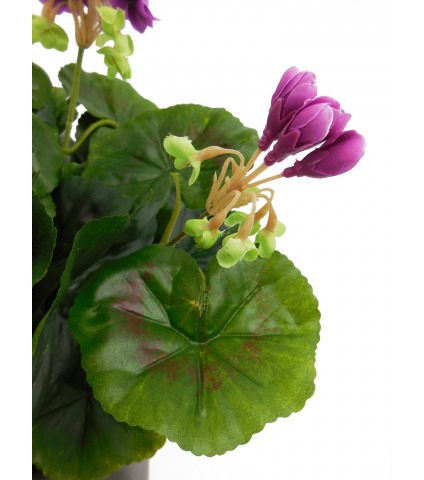 Géranium artificiel violet