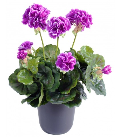 Géranium artificiel violet