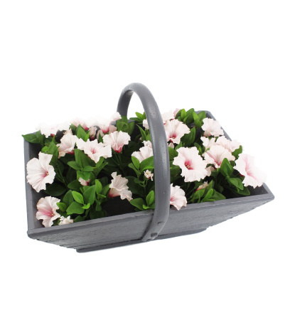 Pétunia artificiel rose blanc
