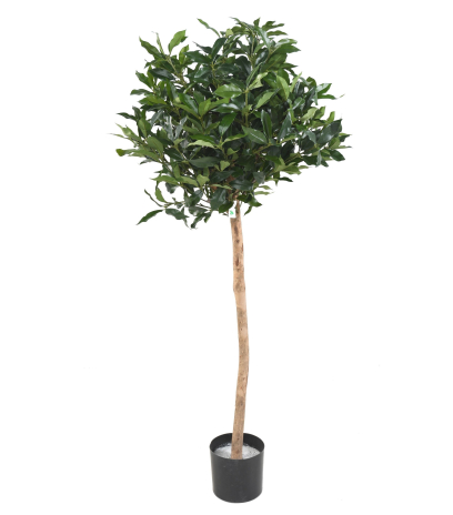 Prunier des açores artificiel