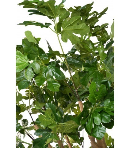 Figuier artificiel géant