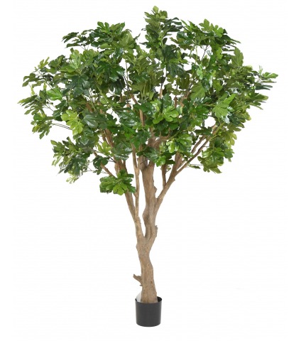 Figuier artificiel géant