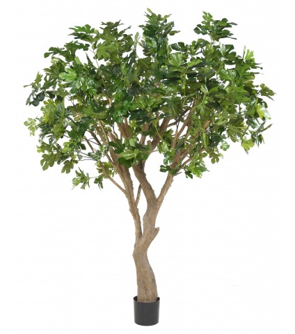 Figuier artificiel géant