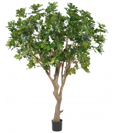 Figuier artificiel géant