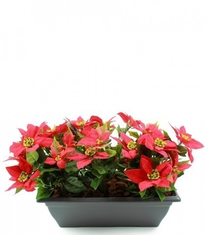 Poinsettia artificiel rouge