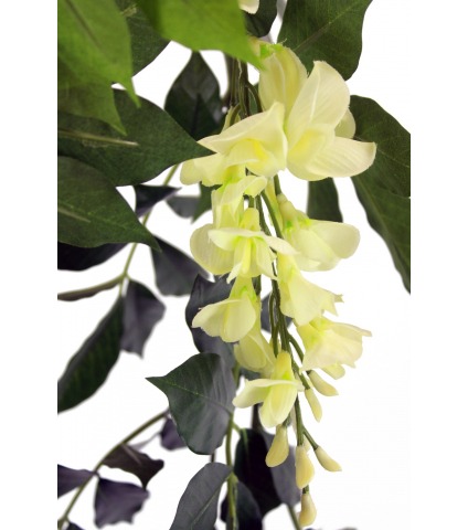 Guirlande de glycines (blanc)