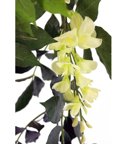 Guirlande de glycines (blanc)