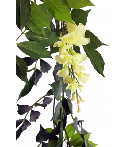 Guirlande de glycines (blanc)