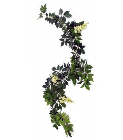 Guirlande de glycines (blanc)