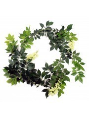 Guirlande de glycines (blanc)