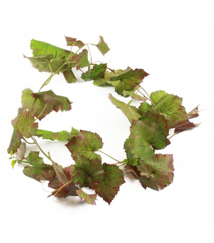 Guirlande de vigne automne