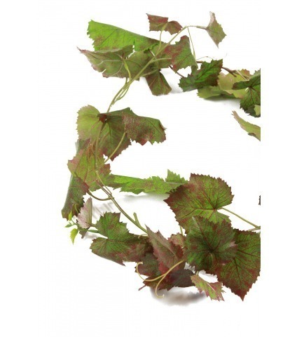 Guirlande de vigne automne