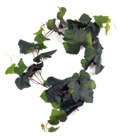 Guirlande de vigne artificielle