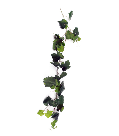 Guirlande de vigne artificielle